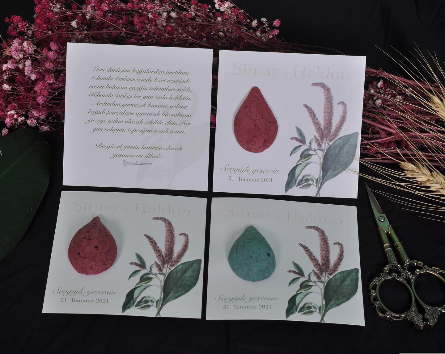 gizemlitohumlar_1628162572_2633540994516002184_8655279422