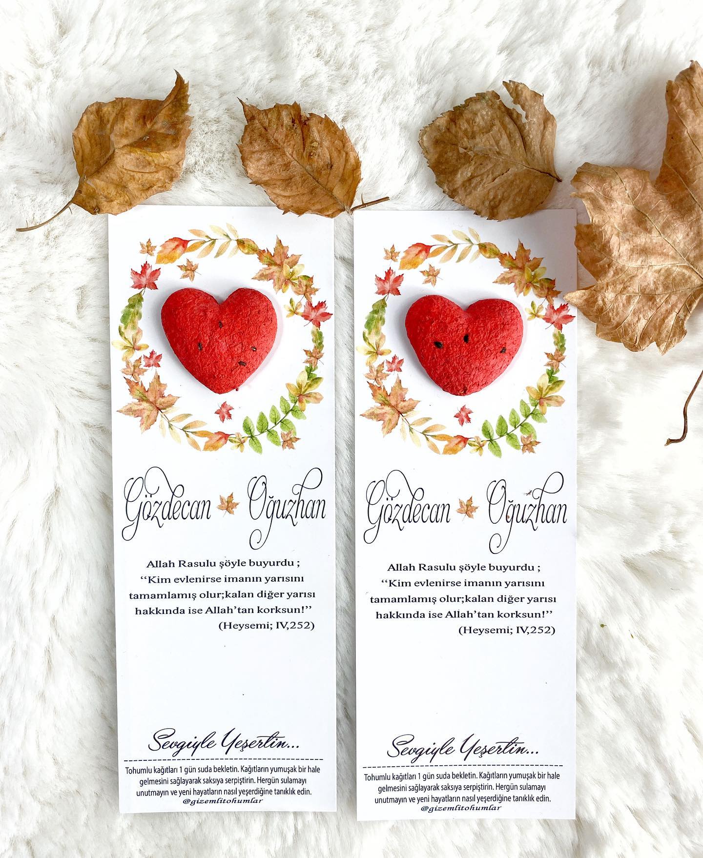 gizemlitohumlar_1631699998_2663215076792483075_8655279422