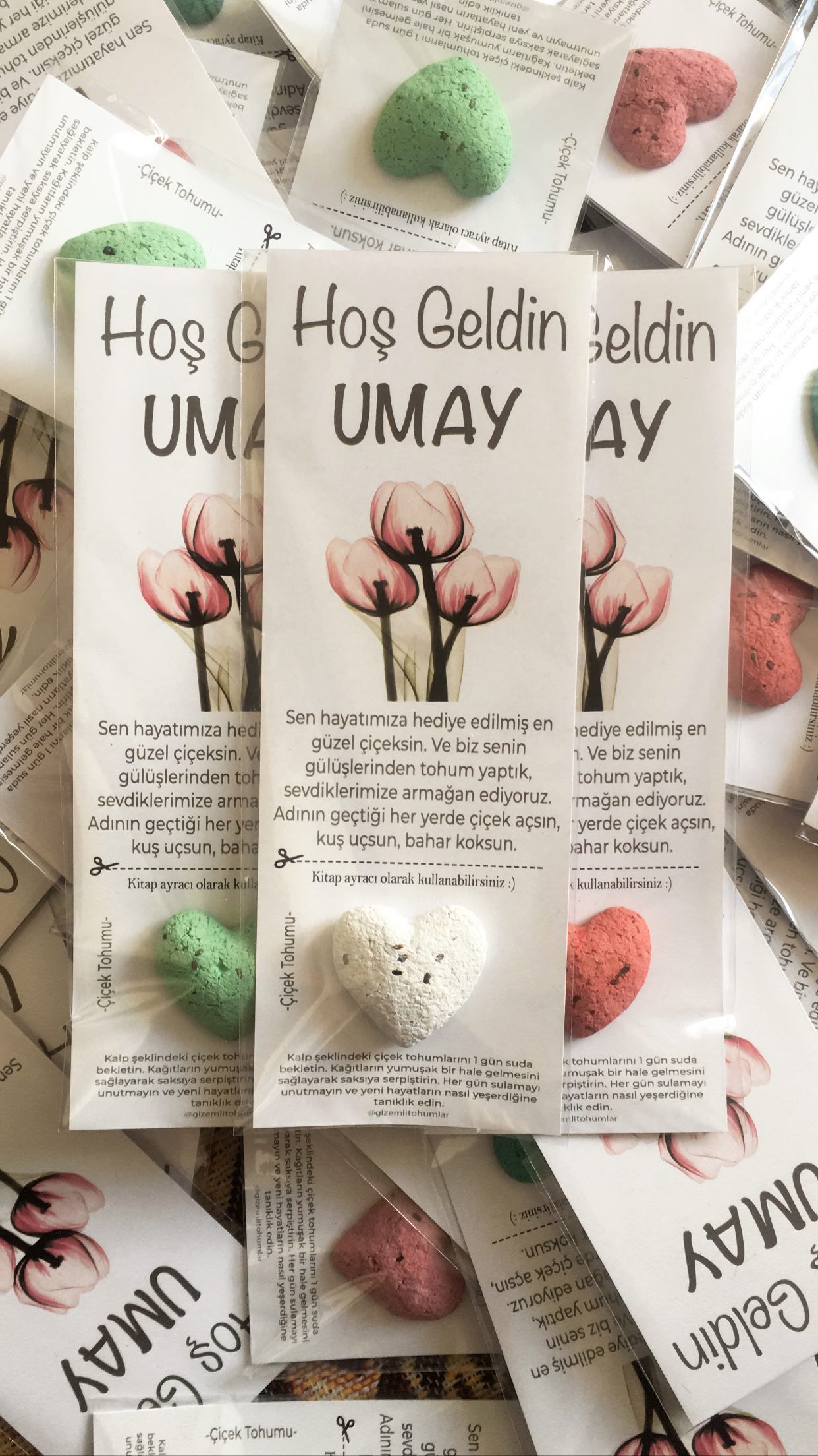 gizemlitohumlar_1649834986_highlight17927329180599854