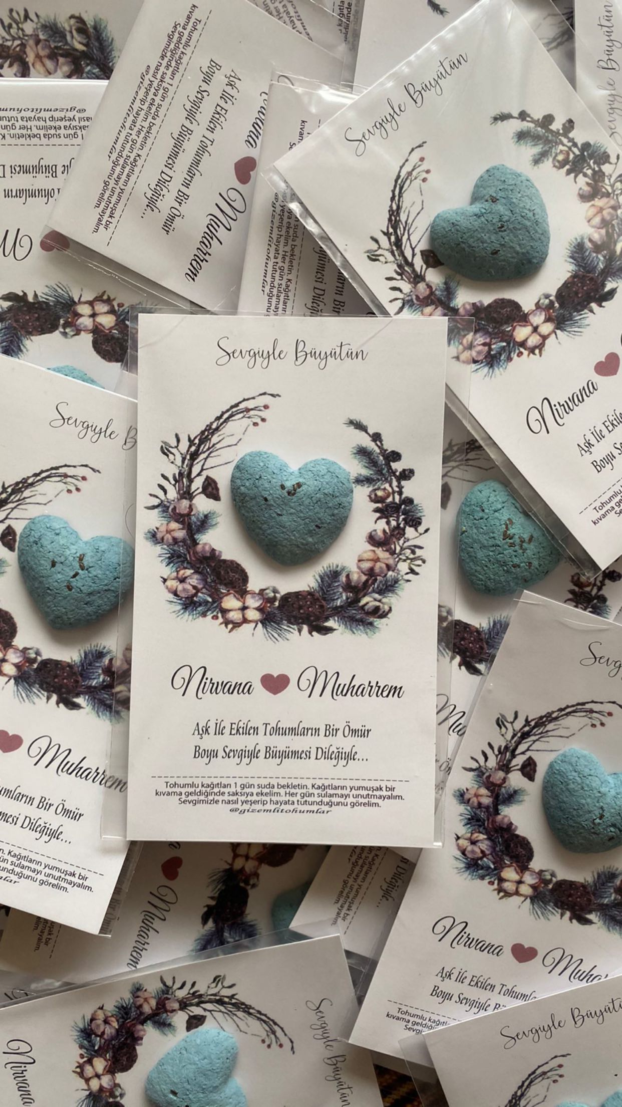 gizemlitohumlar_1655229663_highlight18087385453264458