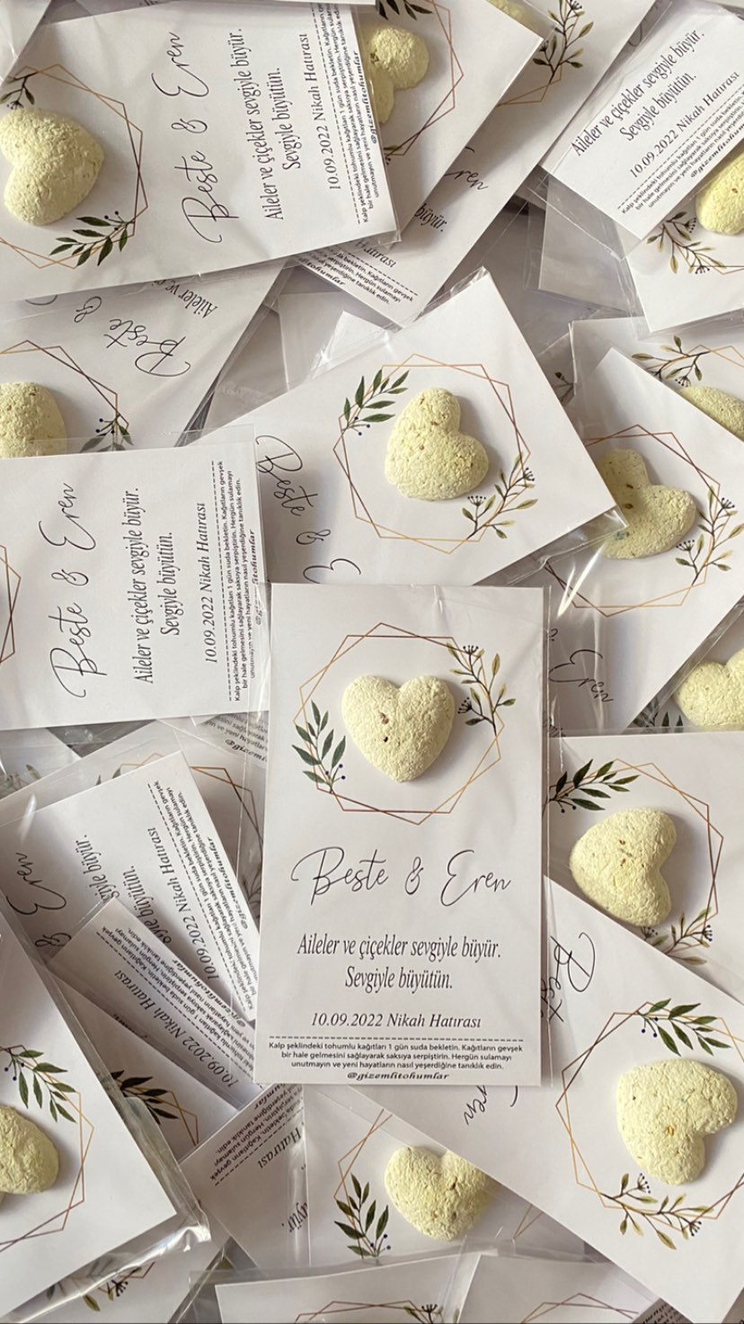 gizemlitohumlar_1661783152_highlight18087385453264458