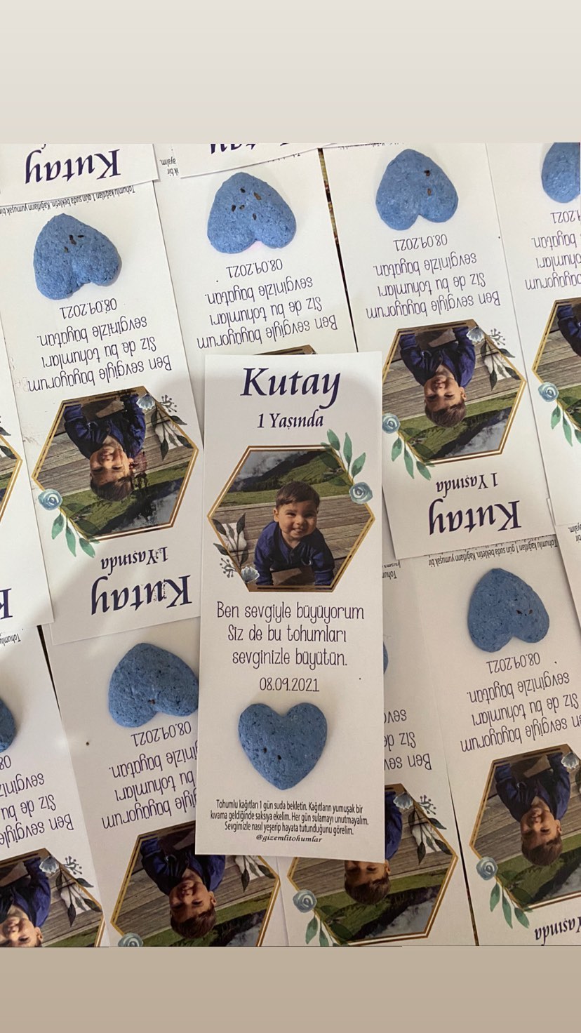 gizemlitohumlar_1661880560_highlight17927329180599854