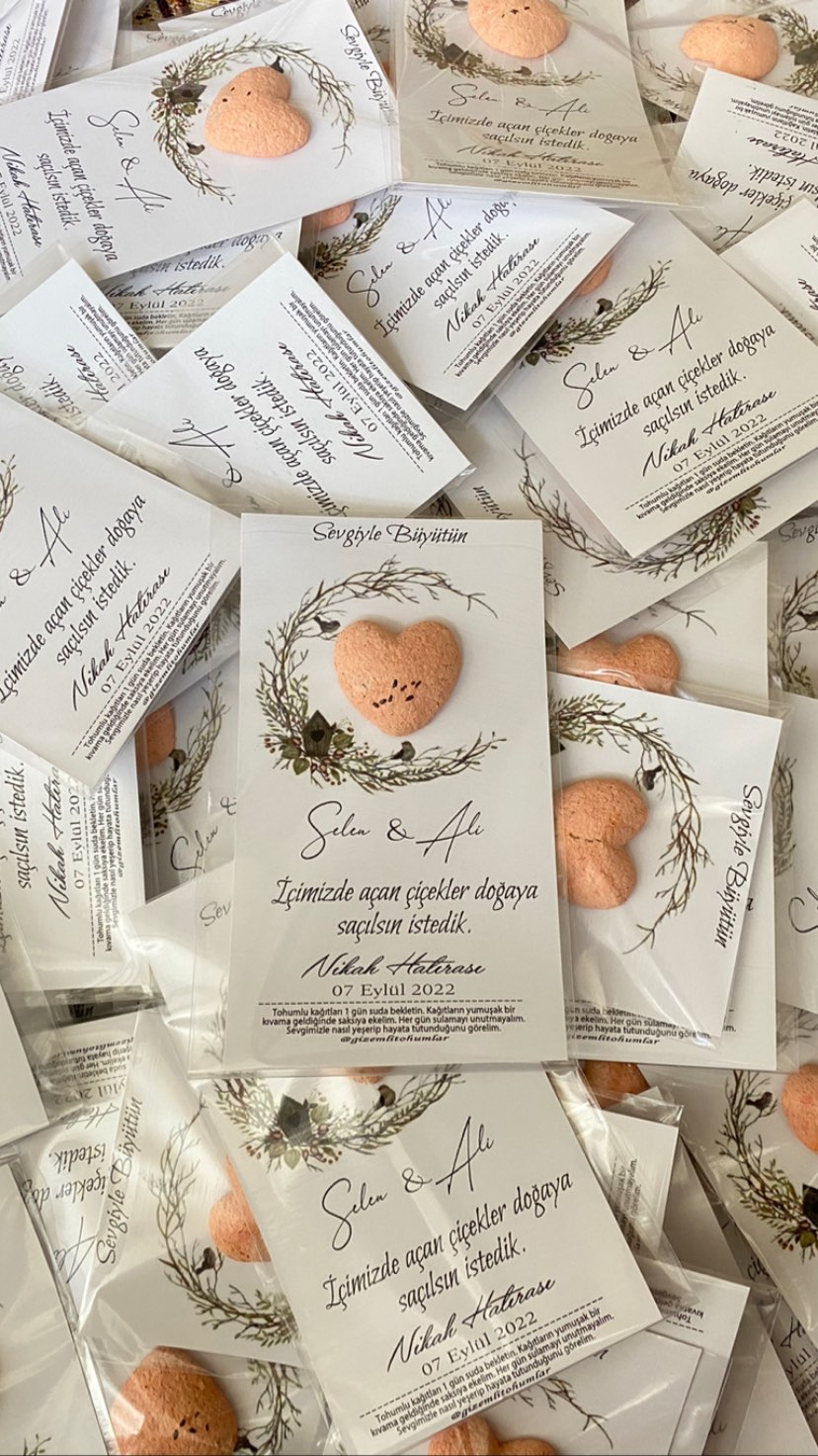 gizemlitohumlar_1661931868_highlight18087385453264458