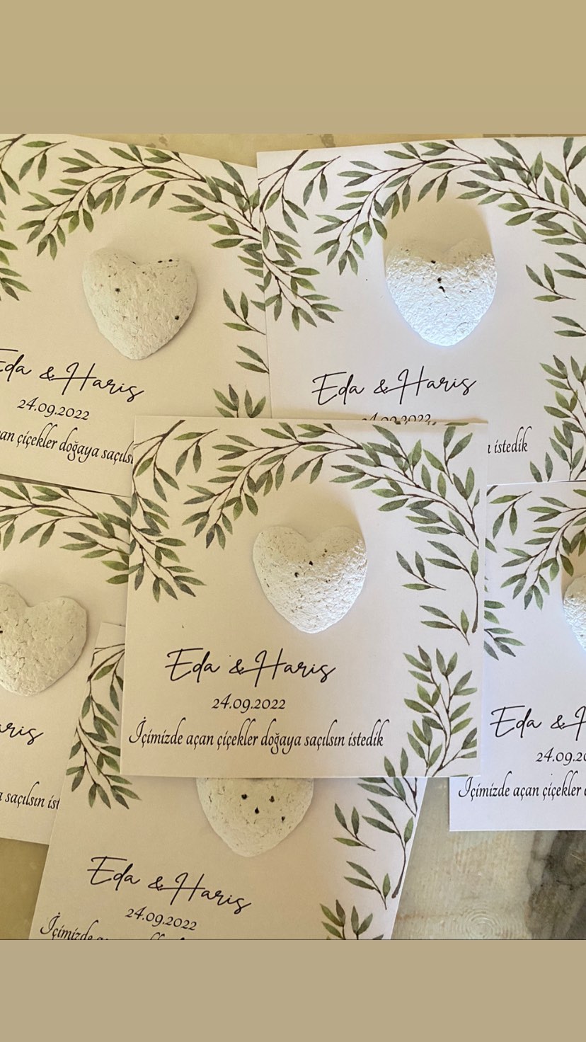 gizemlitohumlar_1663948827_highlight17932077331810552