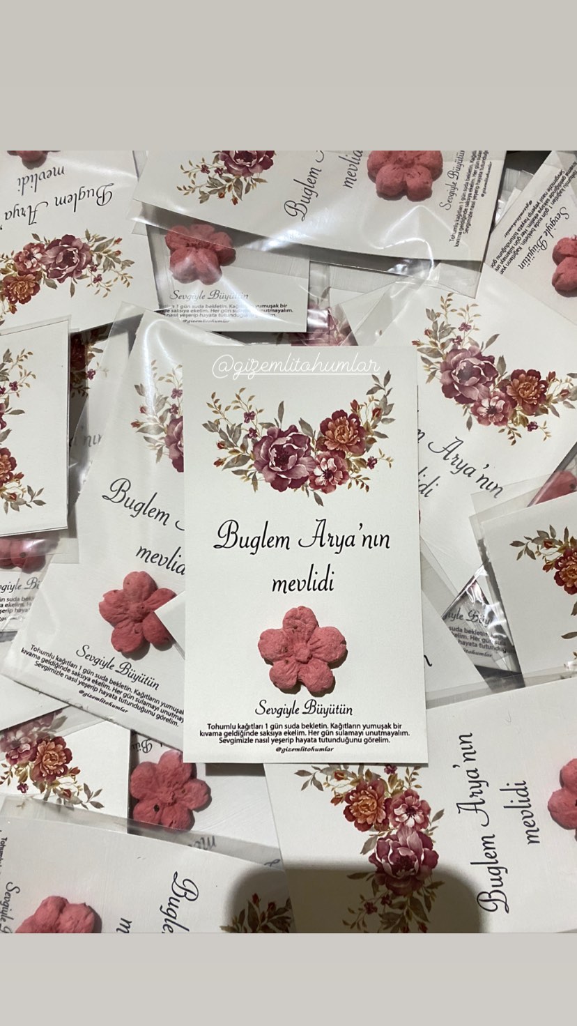 gizemlitohumlar_1670663917_highlight18125812399203099