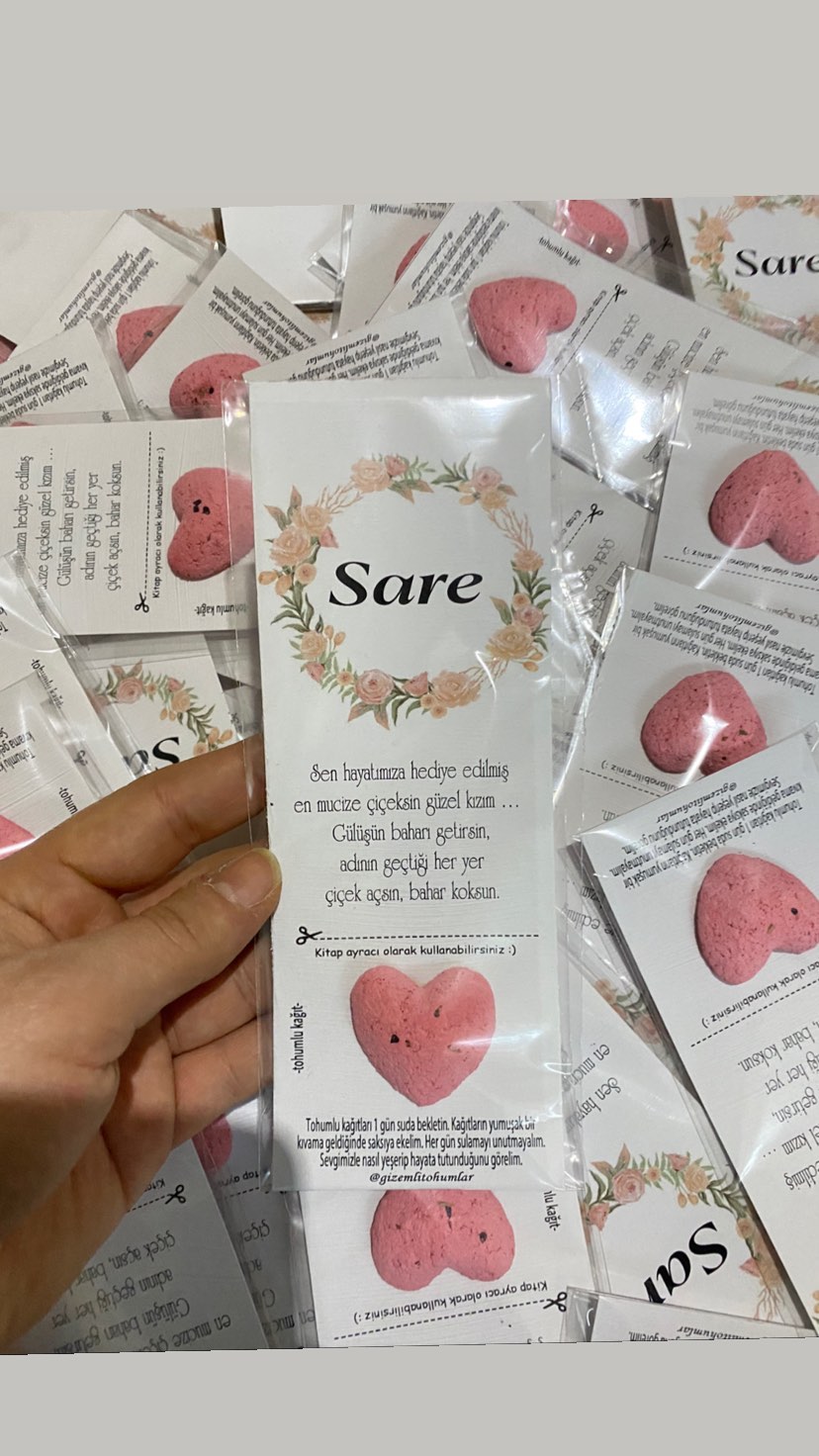 gizemlitohumlar_1670919522_highlight17927329180599854