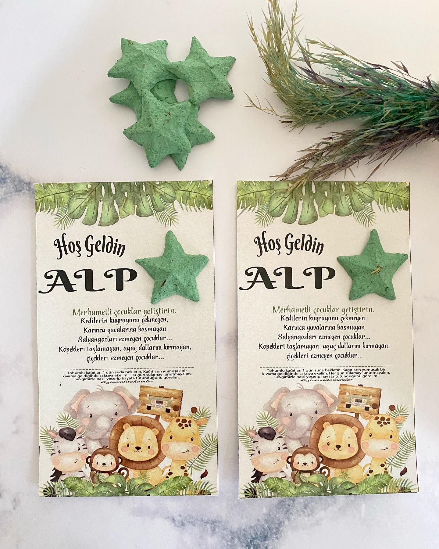 gizemlitohumlar_1671185851_2994446418928724945_8655279422