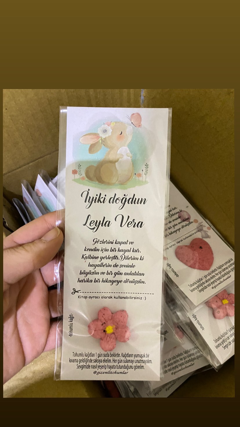 gizemlitohumlar_1673775135_highlight17927329180599854