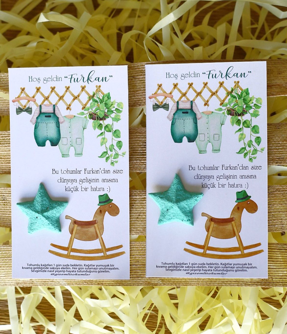 gizemlitohumlar_1689430686_3147495188129201852_8655279422