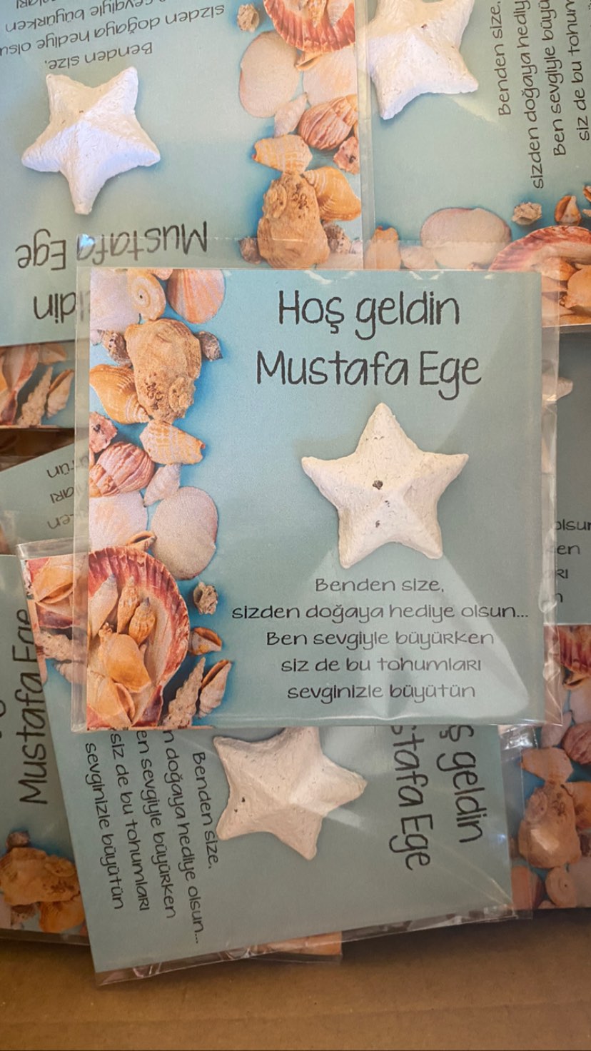 gizemlitohumlar_1690305042_highlight17921356900648770