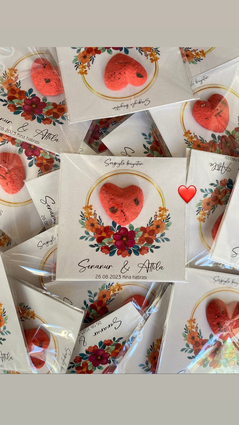 gizemlitohumlar_1692195585_highlight17932077331810552