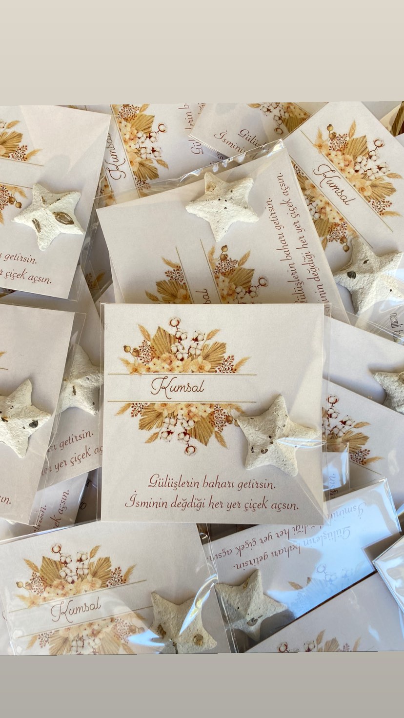 gizemlitohumlar_1692197516_highlight17921356900648770