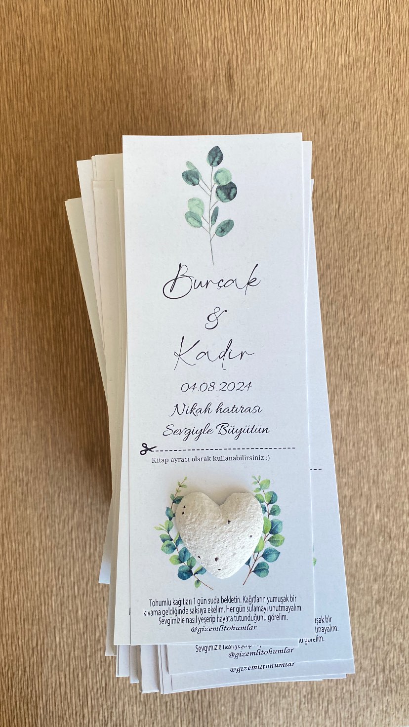 gizemlitohumlar_1718108821_highlight17875899662386755